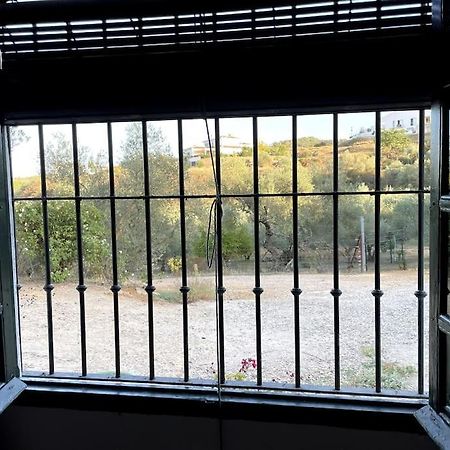 Villa Maria, Casa Rural En Cazalla De La Sierra. Cazalla de la Sierra Exterior foto