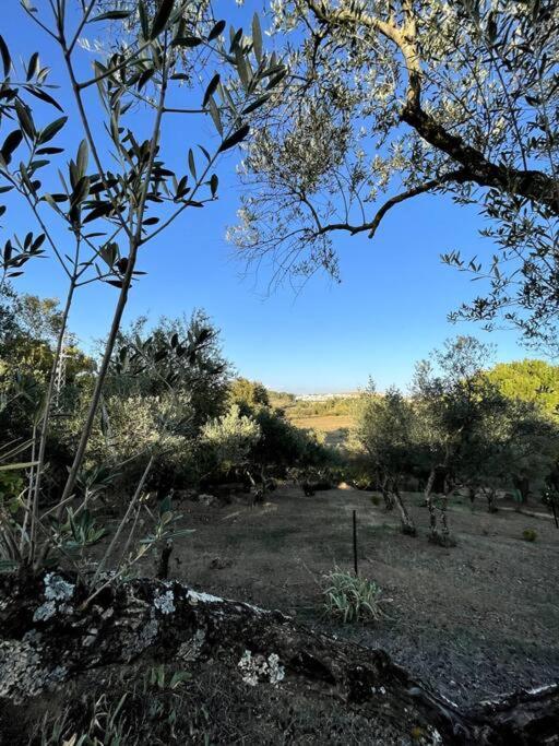 Villa Maria, Casa Rural En Cazalla De La Sierra. Cazalla de la Sierra Exterior foto